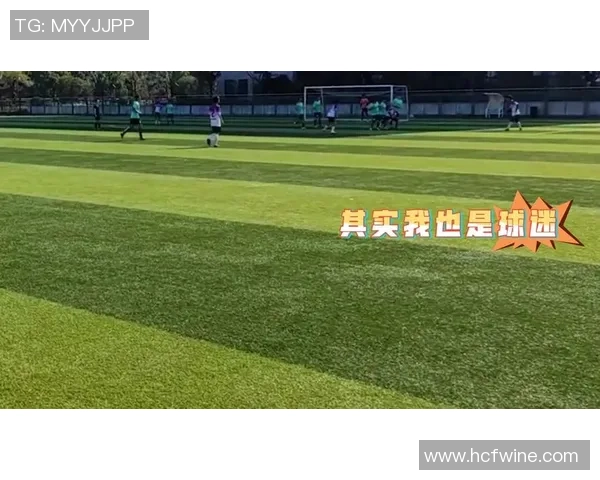 深入了解韩文足球词汇助你轻松掌握足球交流与战术分析技巧